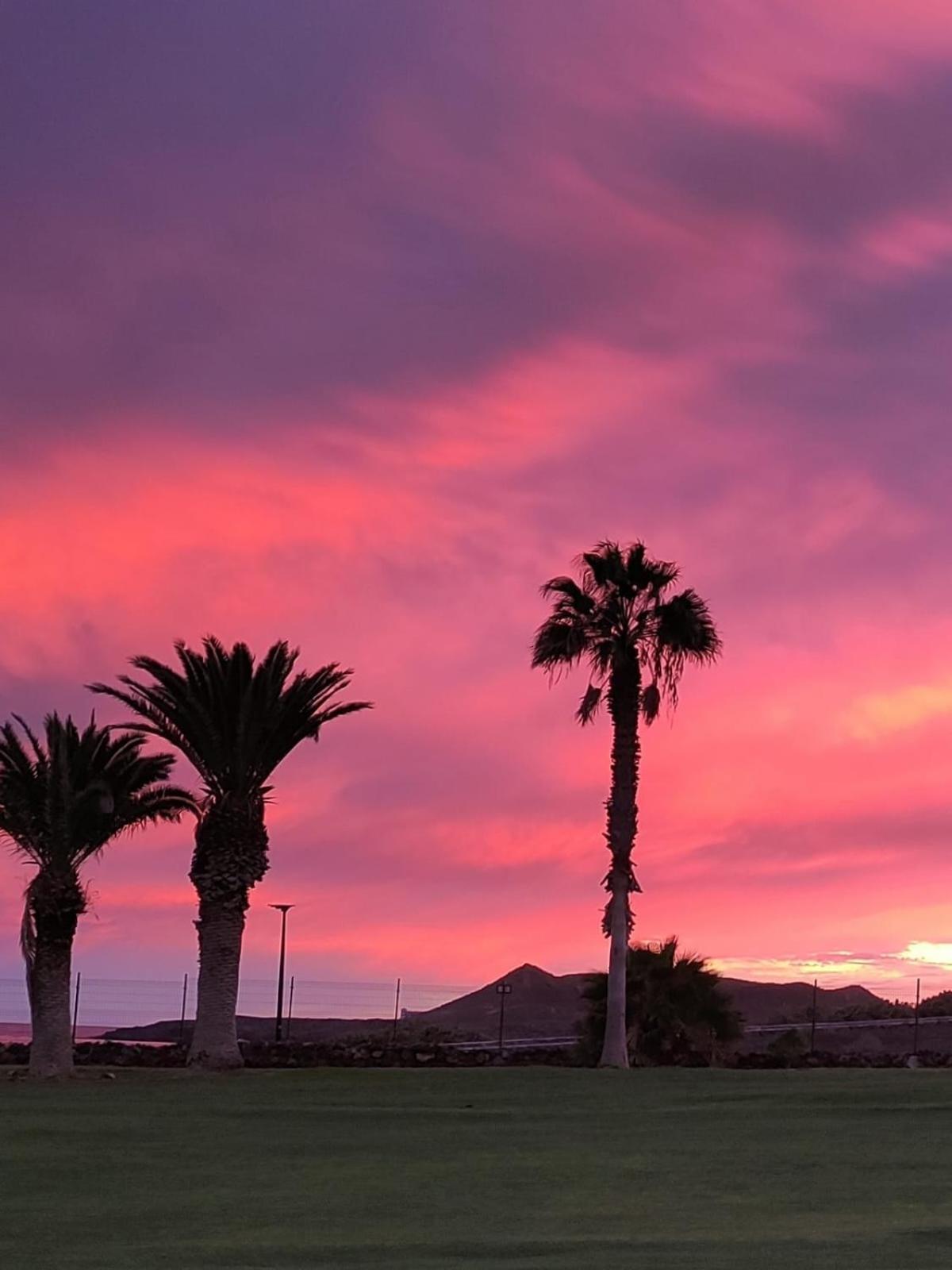 Tamaragua Apartment, Golf Del Sur San Miguel de Abona Eksteriør bilde